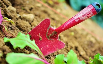 Storage for Garden Products